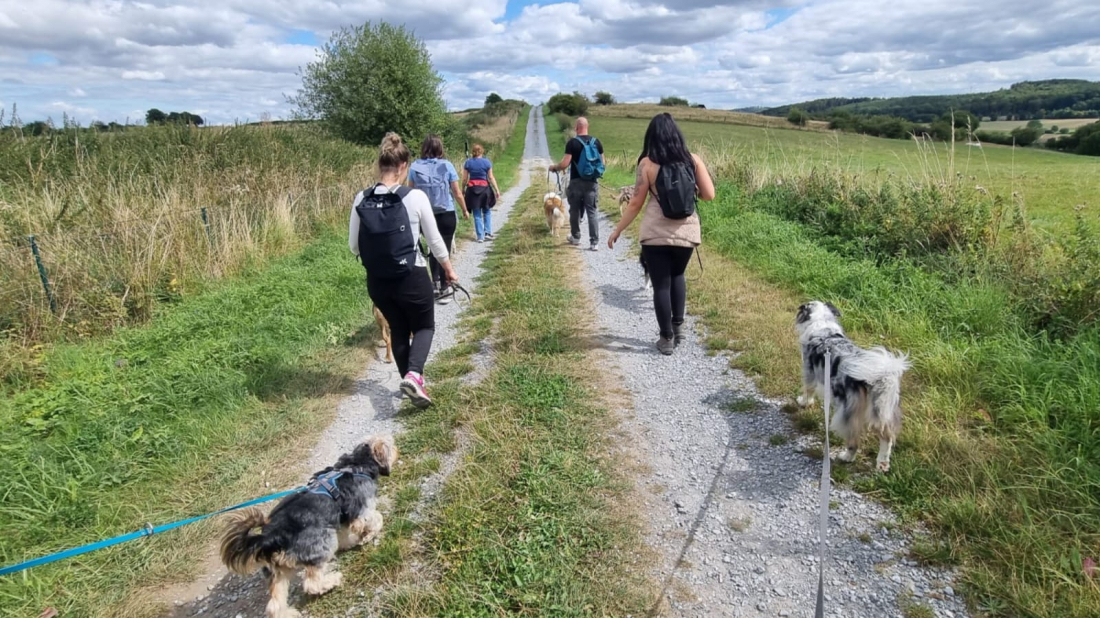 Kostenlose Wanderung