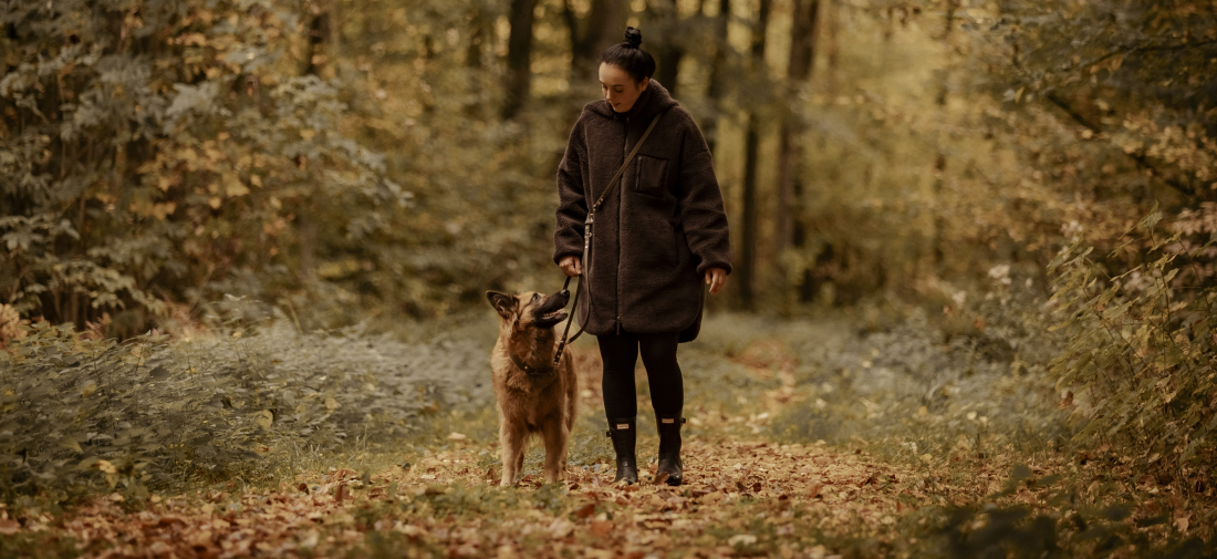 Achtsam führen - Leinenführigkeit und Orientierung stärken